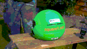 weeee GIF