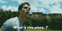 maze runner scorch trials fan GIF