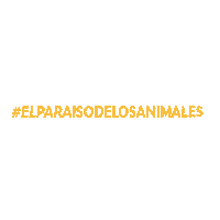 Elparaisodelosanimales Sticker by Elparaiso