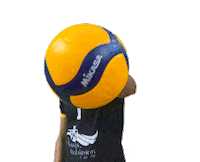 Prvball look ball volleyball mikasa Sticker