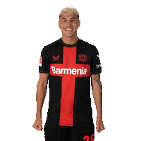 Bayer 04 No Sticker by Bayer 04 Leverkusen