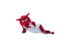 University Of Arkansas School Sticker by Arkansas Alumni Association