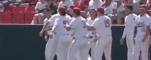 World Series Baseball GIF by NCAA Championships