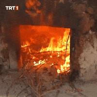 Fire Wow GIF by TRT