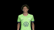 Lets Go Bundesliga GIF by VfL Wolfsburg