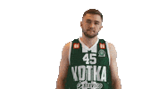 Basketball Hoops Sticker by Basket_fi