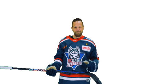 Eishockey Sticker by EC Kassel Huskies