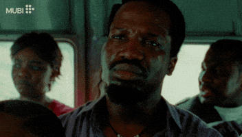 Film Cinema GIF by MUBI