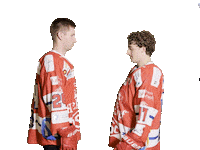 Hockey Pill Sticker by dsc-eishockey