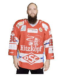 Hockey Sticker by dsc-eishockey