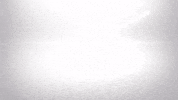 NovaSound miami nova nova sound novasound GIF