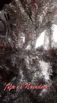 merry christmas GIF by Gnomo