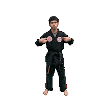 Karate Taekwondo Sticker by Team GMA