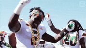 Lets Go Football GIF by ESPN