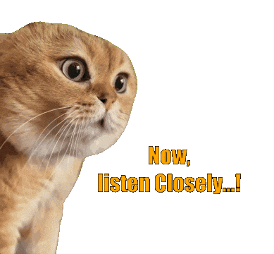 Cat Listen Closely Sticker