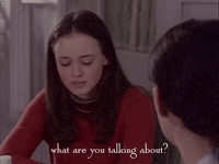 season 1 netflix GIF by Gilmore Girls 