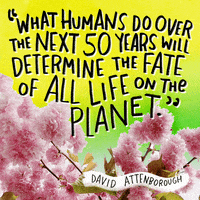 Bbc Environment GIF by INTO ACTION