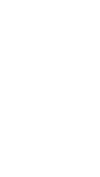 Woman Freedom Sticker