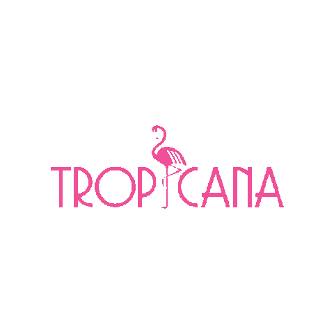 concepthotelgroup giphyupload ibiza concepthotelgroup astorytotell Sticker