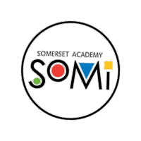 somersetsomi somi somerset south miami somerset somi Sticker