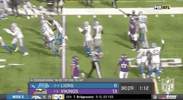 Detroit Lions Football GIF by NFL