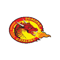Rugby League Sport Sticker by Dragons Catalans