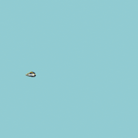Talent Zug GIF by eurobahn