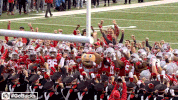 Ncaa Sports GIF by Ohio State Athletics