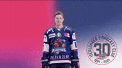 GIF by Iserlohn Roosters