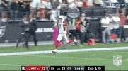 Arizona Cardinals Football GIF by NFL