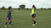 unipanthers unifight GIF
