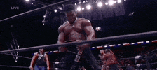 Matt Taven Wrestling GIF by AEWonTV
