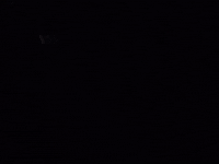 Nothing But Flowers GIF by Talking Heads