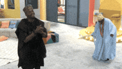 Bbnaija GIF by Big Brother Naija