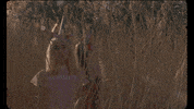 alternative GIF by 4AD