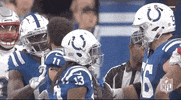 Indianapolis Colts Football GIF by NFL