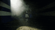 Football Sport GIF by Indianapolis Colts