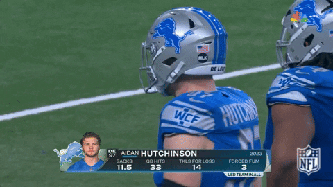 Detroit Lions Football GIF by NFL