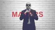 Palibex moustache transporte pale logistica GIF