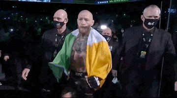 Conor Mcgregor Sport GIF by UFC