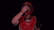 Softball GIF by MSUM Dragons