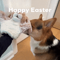 Dog Easter GIF