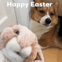 Dog Easter GIF