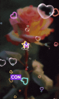 Del Mundo Dia GIF by Murcianys LLC