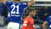 Football Soccer GIF by FC Schalke 04