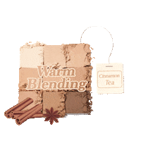 Cheek Blusher Sticker by BY ECOM