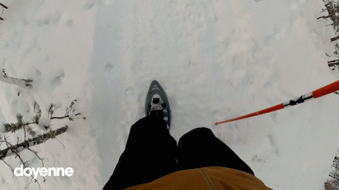 doyenne giphyupload winter walking finland GIF