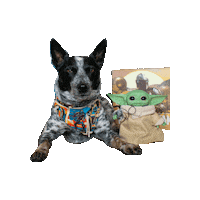 Star Wars Baby Yoda Sticker by Geekster Pets