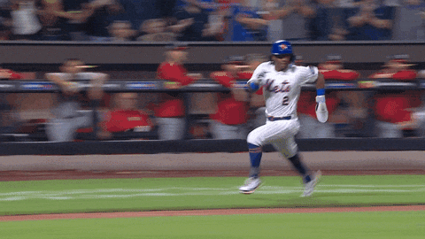Baseball Nyc GIF by New York Mets