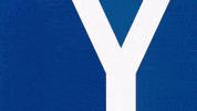 Soccer Bundesliga GIF by Karlsruher SC